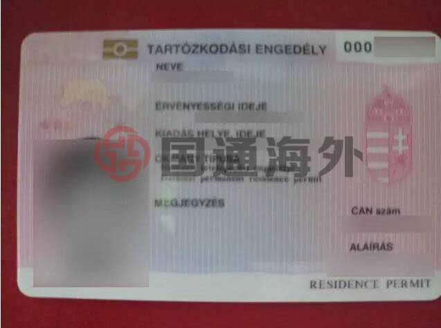 為孩子享受更好的教育順利移民匈牙利